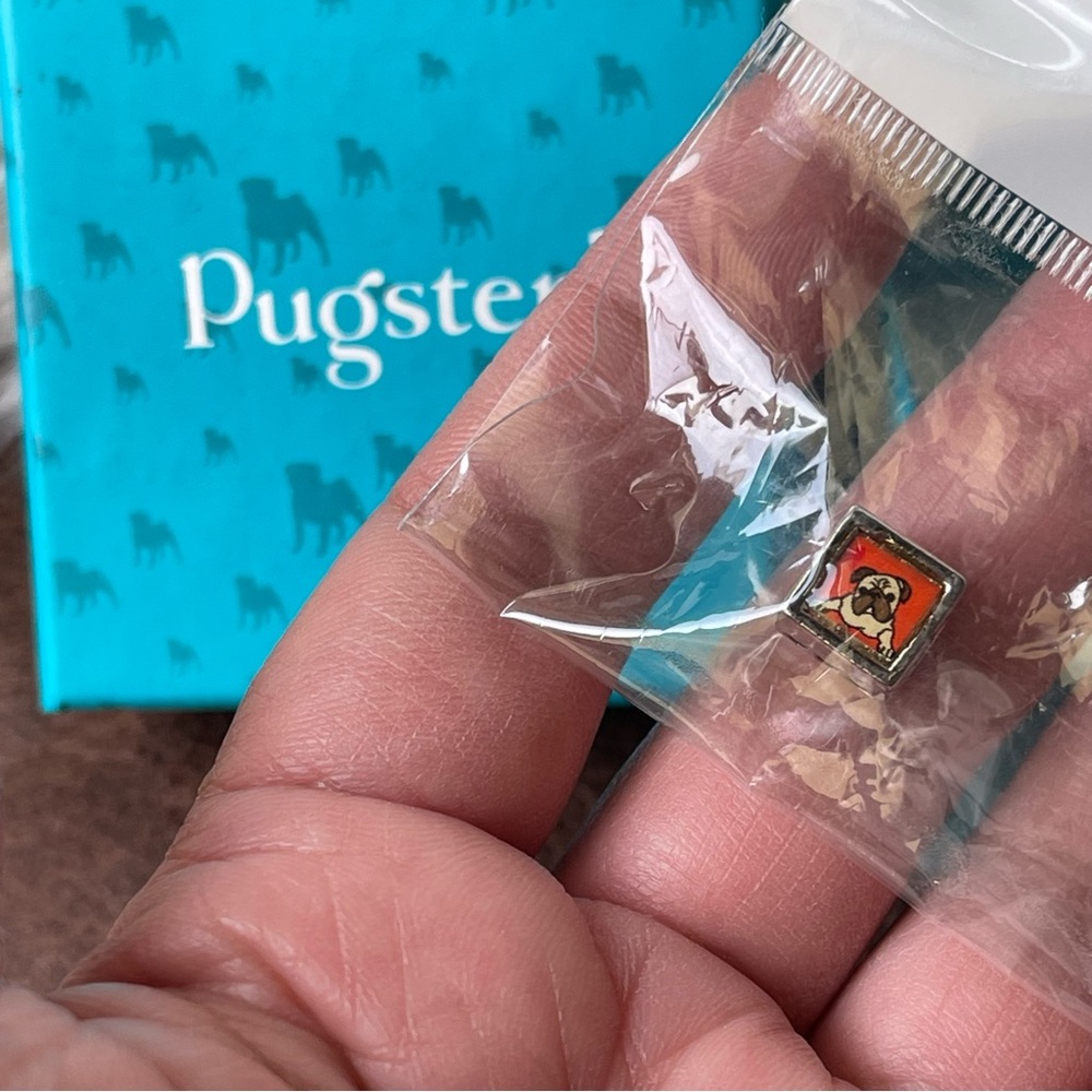 Pugster | Dog Charm with Red Background and Brown Design In Silver Tone Cube